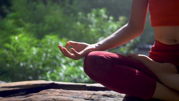 Close-up Aziatische vrouw oefenen of doen yoga bij de waterval, Lotus poseren op meditatie sessie. Mooi landschap, Natuurlijke achtergrond, Thailand. - Video
