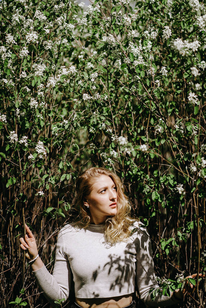 Çiçek açan ağaçların arka planında güzel bir kız portresi  - Fotoğraf, Görsel
