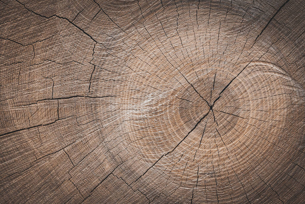 background of a wooden stump - 写真・画像