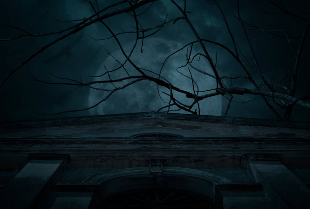 Starożytna architektura budynku nad martwym drzewem, pełnia księżyca, ptaki i zachmurzone straszne niebo, Halloween tajemnicze tło - Zdjęcie, obraz