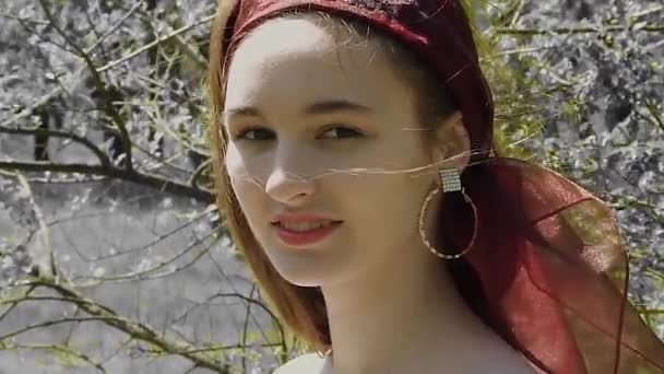 Schöne junge Mädchen mit langen Haaren in einem Kostüm aus dem 15. Jahrhundert. - Filmmaterial, Video