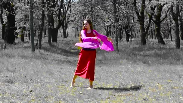 Hermosa joven con el pelo largo en un vestido rojo está bailando en el bosque
. - Imágenes, Vídeo