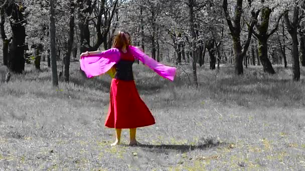 Belle jeune fille aux cheveux longs dans une robe rouge danse dans la forêt
. - Séquence, vidéo