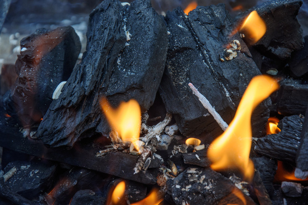 Carbón en llamas
 - Foto, imagen