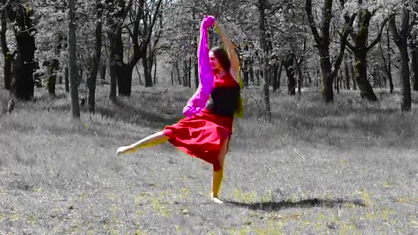 Hermosa joven con el pelo largo en un vestido rojo está bailando en el bosque
. - Imágenes, Vídeo