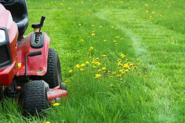 Bir çim biçme makinesiyle uzun çimleri biçmek ya da kesmek. Bahçe konsepti arka planı . - Fotoğraf, Görsel