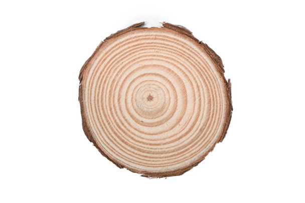 Drewniana powierzchnia cięcia drzewa izolowana na białym tle - Zdjęcie, obraz