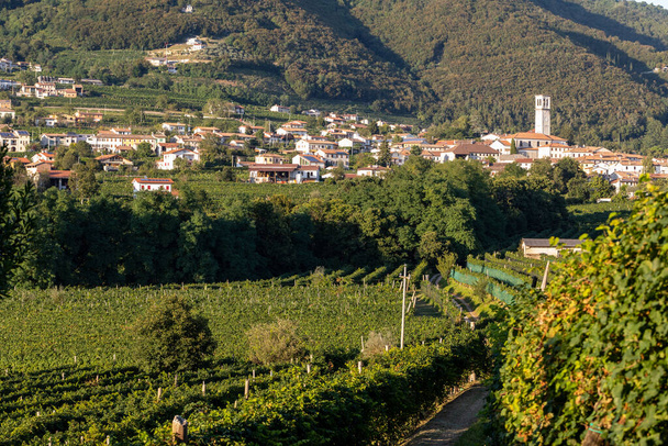 Festői dombok szőlőültetvényekkel a Prosecco pezsgő régió Valdobbiadene, Olaszország. - Fotó, kép