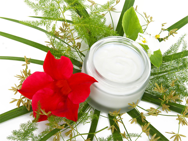 face cream with green leaves - Photo, Image