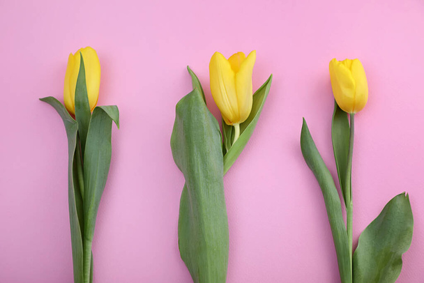 Τρεις τουλίπες. κίτρινα λουλούδια σε ροζ χάρτινο φόντο. - Φωτογραφία, εικόνα