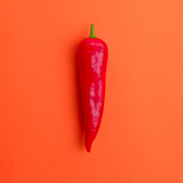 Flat lay view of hot red chili peppers. Food background. Copy space. Bright red orange background. Design banner. - Photo, Image