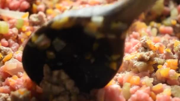 Cooking minced meat with vegetables for the sauce - Footage, Video