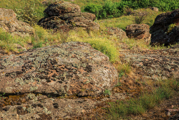 Piedra de granito en la estepa cubierta de musgo y hongos
 - Foto, Imagen