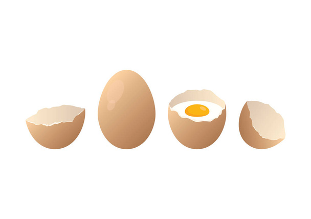 Rauw ei in de schaal pictogram set vector. Gebroken eieren gebarsten open eierschaal vector. Eipictogram vector. Bruine verse eieren icoon set - Vector, afbeelding