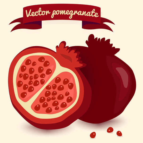 Vector pomegranate illustration - Vector, Image