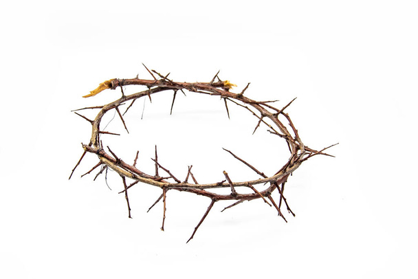 Una corona de espinas sobre un fondo blanco. Fotografía conceptual para usar en el diseño. Una corona de ramas con espinas
 - Foto, Imagen