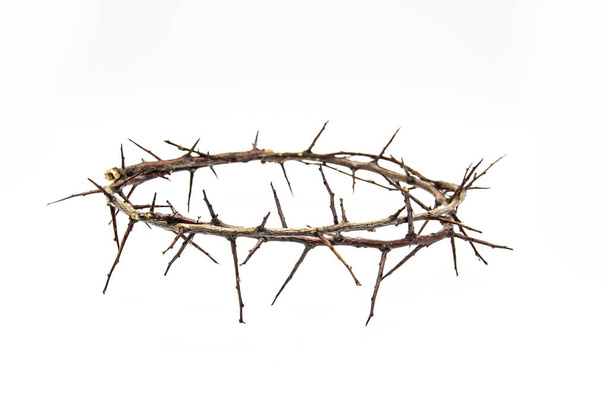 A crown of thorns on a white background. Conceptual phototo use in the design. A wreath of branches with thorns - Photo, Image