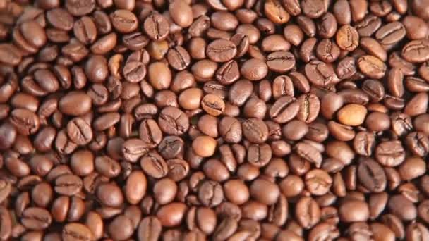 coffee beans toasted rotating top view. Ful image - Footage, Video