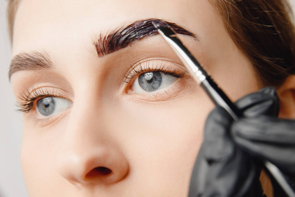 Master brush dye henna eyebrows woman in beauty salon. Correction of brow hair - Foto, immagini