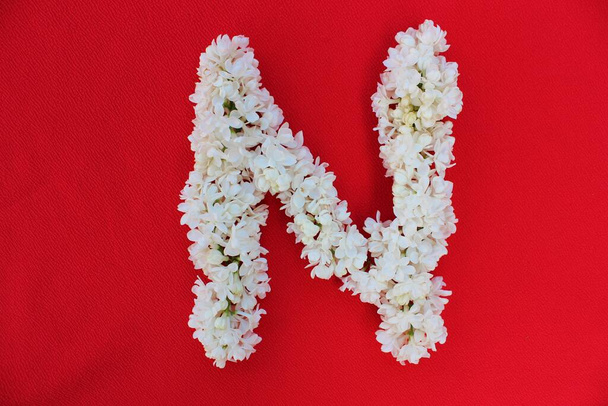 Kırmızı arka planda beyaz leylak çiçeklerinden yapılmış N harfi. Çiçek kompozisyonu. Düz yatıyordu. Beyaz çiçeklerden yapılmış N harfi. Bahar konsepti Tasarım ve süsleme için alfabenin çiçek harfleri - Fotoğraf, Görsel