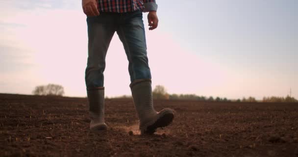 Düşük açı yavaş çekim. Tarladaki küçük yeşil ayçiçeği filizlerinde yürüyen erkek çiftçi ayaklarını takip edin. Genç adamın bacakları çayırdaki kuru toprağa basıyor. - Video, Çekim