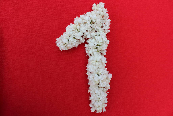 1 numara kırmızı arka planda beyaz leylak çiçekleri ile yazılmıştır. Bir numara taze çiçeklerle yazılmış, kırmızıda izole edilmiş. Çiçeklerle kaplı Arapça rakam. - Fotoğraf, Görsel