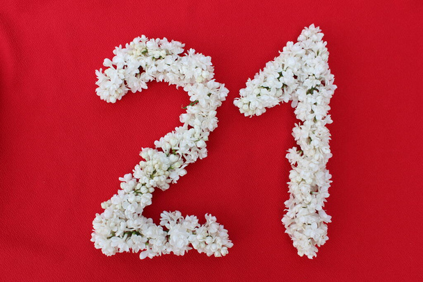 Число 21 написано білими бузковими квітами на червоному тлі. Номер двадцять один написаний свіжими квітами, ізольованими на червоному. Арабське число з квітами.. - Фото, зображення