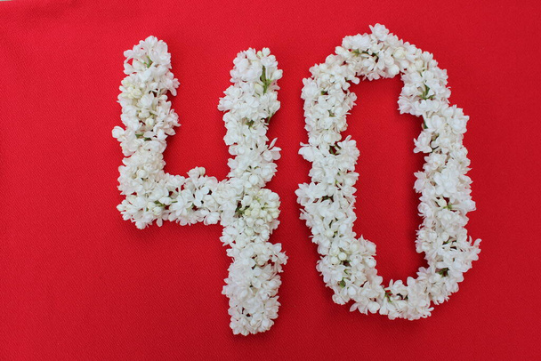 Numero 40 on kirjoitettu valkoisilla lilan kukilla punaisella taustalla. Numero neljäkymmentä on kirjoitettu tuoreita kukkia, eristetty punaisella. Arabialainen numero vuorattu kukkia
. - Valokuva, kuva
