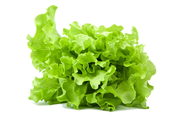 Tuore salaatti eristetty salaatti
 - Valokuva, kuva