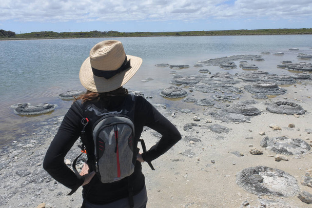 Thetis Cervantes Gölü 'nde Stromatolites' e bakan genç Avustralyalı kadın Batı Avustralya. - Fotoğraf, Görsel