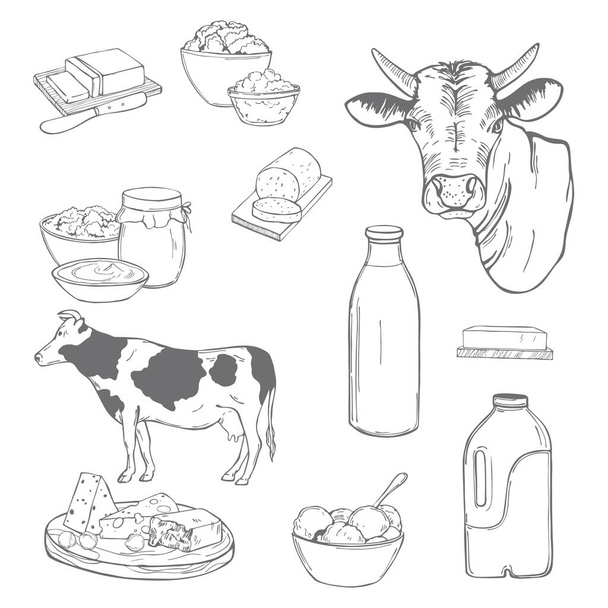 Cibo al latte. Burro, formaggio, panna acida, yogurt e panna su fondo bianco. Illustrazione schizzo vettoriale
. - Vettoriali, immagini