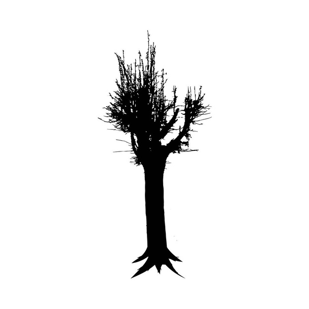 Silhouette d'arbre nu noir isolé sur fond blanc. Forêt élément nature. Illustration vectorielle
. - Photo, image