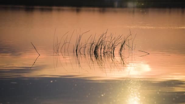 Belle heure dorée sur le lac
 - Séquence, vidéo