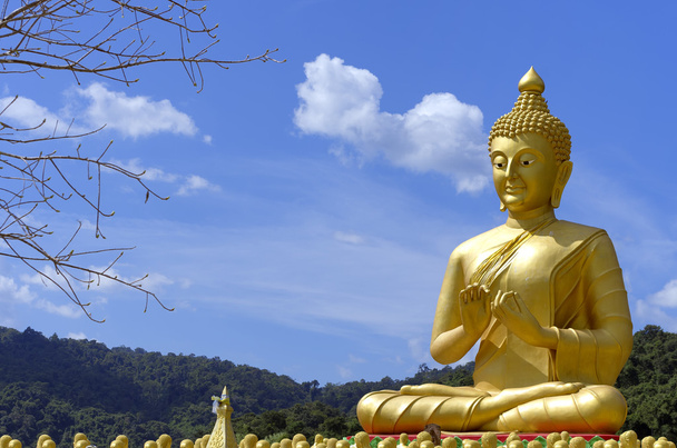 sochy Buddhy - Fotografie, Obrázek