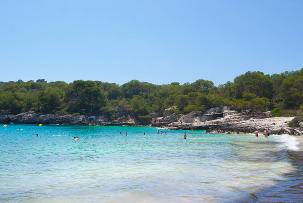 Μικρή παραλία με τυρκουάζ θάλασσα και πευκοδάση γύρω - όμορφο ισπανικό νησί - Φωτογραφία, εικόνα