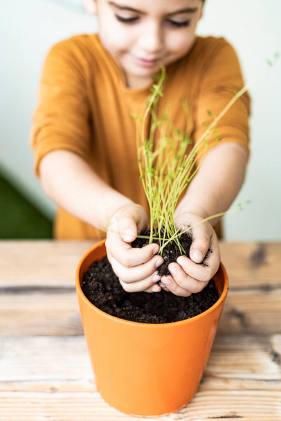 Pequeño niño plantando una planta de lentejas en una olla
 - Foto, imagen