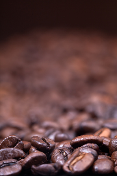 dark roasted coffee beans background - Photo, Image