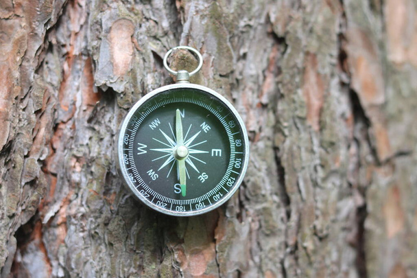 Starý kompas na přírodním dřevěném pozadí - Fotografie, Obrázek