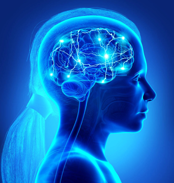 3d renderizado, ilustración médicamente precisa de una niña cerebro activo
 - Foto, Imagen