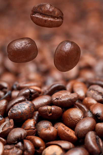 falling beans and dark roasted coffee - Photo, Image