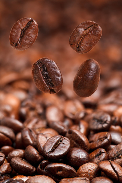 4 落下豆とダーク ロースト コーヒー - 写真・画像