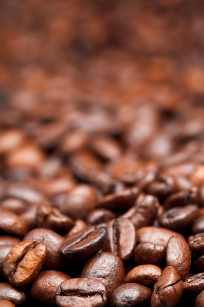 light roasted coffee beans background - Photo, Image