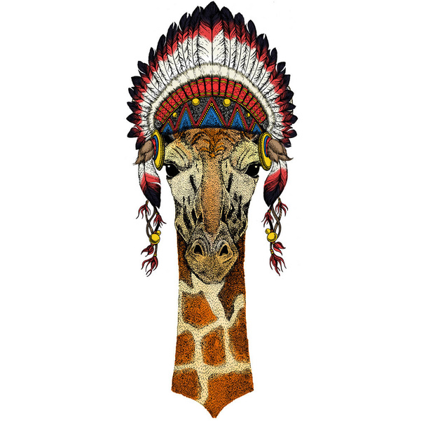 Giraffe head. Portrait of wild animal. Indian traditional headdress. - Vector, Image