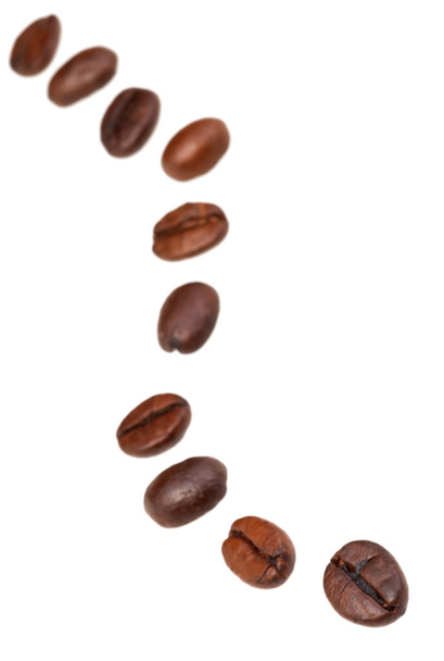 Twisting line from roasted coffee beans - Photo, Image