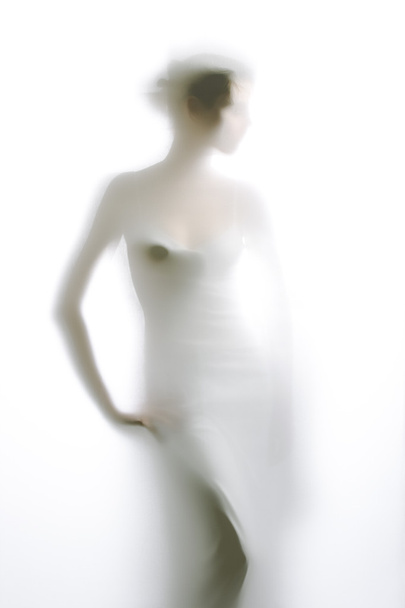 Elegant female silhouette - Photo, Image
