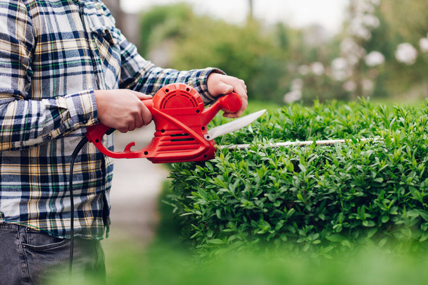 Man mows shrubs with electric trimmer for bushes - 写真・画像