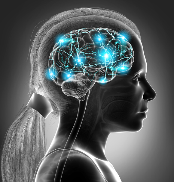 3d рендеринг, медицинская точная иллюстрация молодой девушки активный мозг
 - Фото, изображение
