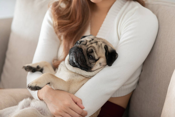 woman holding dog pug breed and sleep in her arm relax and comfortable in living room - Fotoğraf, Görsel