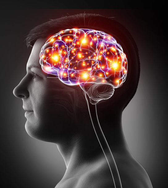 3d renderöity, lääketieteellisesti tarkka kuva miehen aktiivisista aivoista
 - Valokuva, kuva