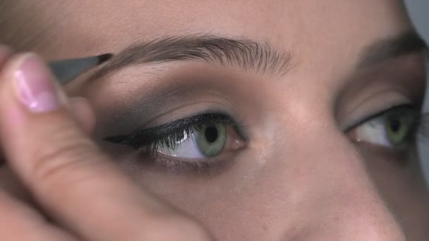 Macro shot of makeup artist making professional make-up for young woman in beauty studio. Make up Artist makeup eyebrows - Felvétel, videó